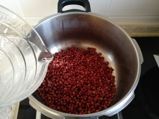 自制红豆沙,把冲洗好的红豆 倒入高压锅 加入清水 盖上盖子。