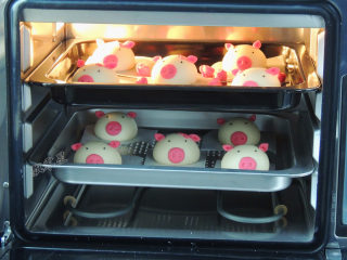 卡通小猪馒头,将烤盘放入蒸烤箱中，选择“发酵”模式，设置温度30度，时间40分钟。