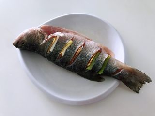 清蒸鲈鱼#年年有余#,葱姜片塞进切好的刀口中，肚子中也放一些进去，腌制20分钟。