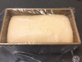 豆沙奶油吐司,发酵至九分满，盖上盖子。