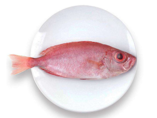 泰式柠檬鱼,酸甜滋味搭配新鲜的长尾滨鲷，泰味十足！
