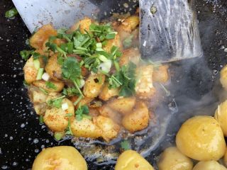 巫山特色小吃-炕洋芋,出锅前倒入一大勺大蒜水炒匀，瞬间香气扑鼻，再撒一点香菜末和葱花，装碗开吃！