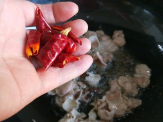 麻辣爆炒蒜苔，新文美食,在加入小把辣椒。