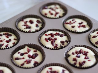 无水无油蛋糕，老式脆皮蛋糕,表面撒上蔓越莓干，也可以根据自己的口味需求，撒白芝麻或者杏仁片。