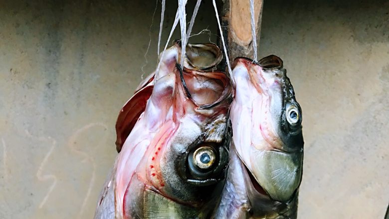 酸菜鱼#年年有鱼#,表弟钓的鱼有点小，处理后晾起来。