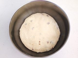 杏脯辫子面包,把揉好的面团取出来，放入大碗里，盖上保鲜膜，饧发至一倍大