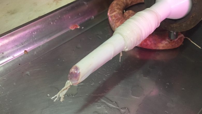 #猪五花肉#自制腊肠,将整根猪小肠（约20米）全部套在灌肠机的嘴儿上，在末端用线绳打个结，这样就可以灌肠了。