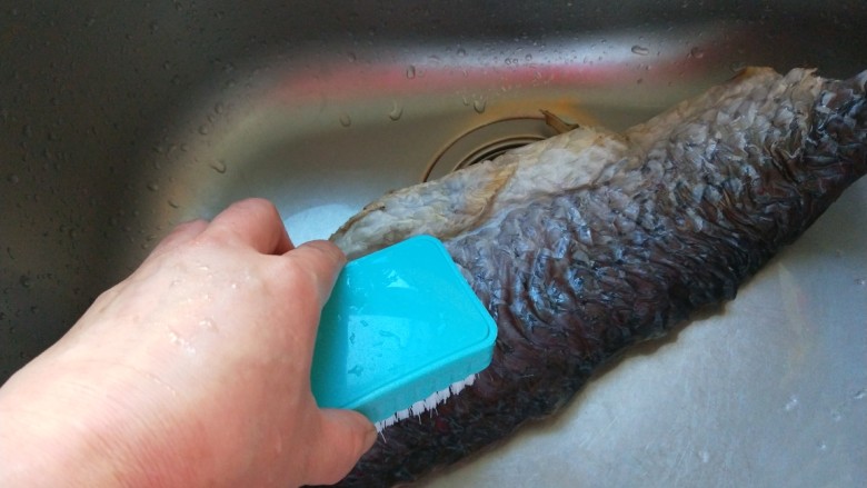湖北#红烧腊鱼块,那也要好好洗一下，总之是在外面晒的，我用刷子刷洗一边，在冲洗干净。