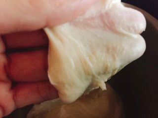 中种北海道吐司,揉面扩展状态，加入黄油继续揉20分钟揉至出薄膜