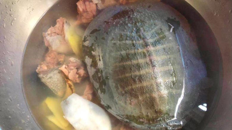 清炖甲鱼汤,甲鱼清理好以后，清洗干净，放入大碗里，放入姜片和当归，再放入适量水。