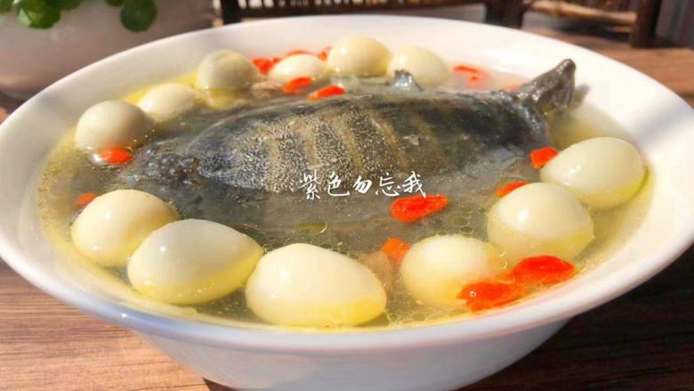 清炖甲鱼汤,美味的甲鱼汤做好了，汤鲜味美，好喝极了。