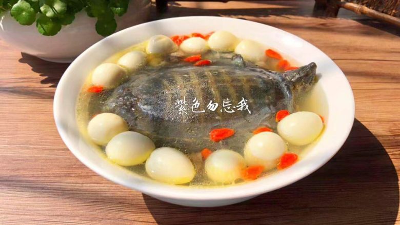 清炖甲鱼汤,成品图三