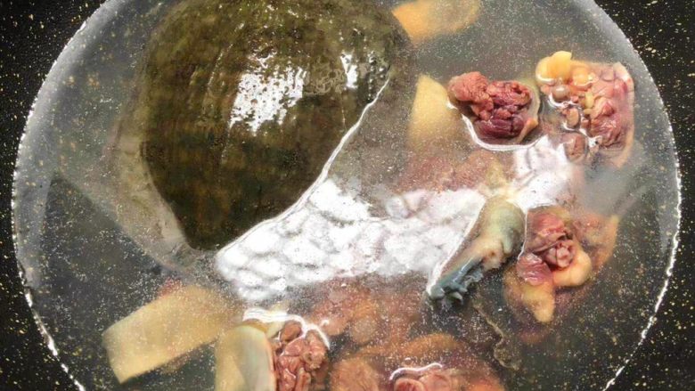 清炖甲鱼汤,锅里放入半锅水烧开，把清洗干净的甲鱼倒入锅里，焯2分钟，要让每一块甲鱼都能泡到热水里。