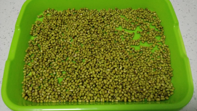 涨绿豆芽,泡18个小时。