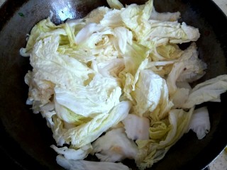 肉沫粉丝烧白菜,锅中放入少量植物油，放入白菜翻炒至变软，加入适量盐
