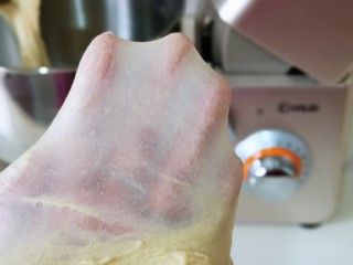 果仁面包卷,揉到不容易破的手套膜，可以进行发酵。