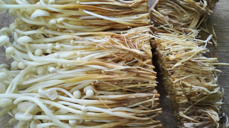 金针菇根部发霉的图片图片