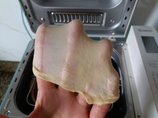 汤种原味吐司,再揉15分钟，面团揉出结实的薄膜，面团就揉好了，就可以发酵了。
