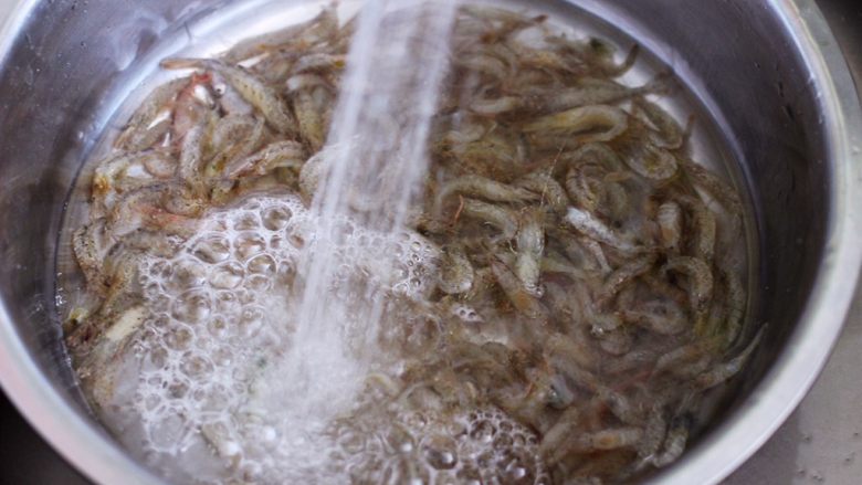 桃花虾爆韭菜,把活的桃花虾用自来水反复冲洗干净。