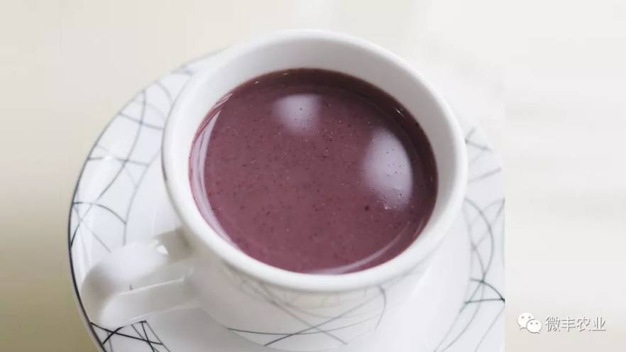 营养饮品紫米浆