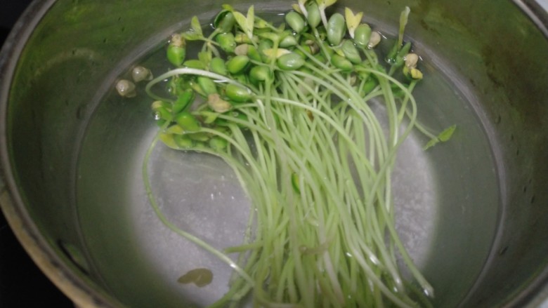芽苗菜炒平菇,锅中放入适量水、盐、油，水开后放入芽苗菜，焯水1分钟。