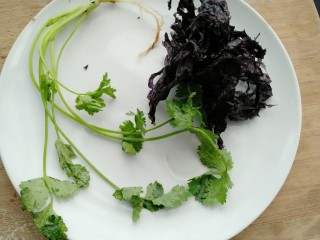 酸汤剪刀面,准备香菜和紫菜