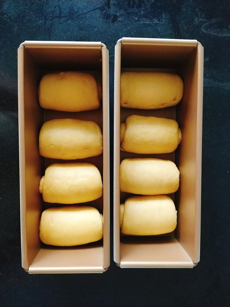南瓜泥奶香吐司,每个300克吐司盒子里放四个卷好的面剂子，每个面剂子之间留好间距，给二次发酵留出来空间；