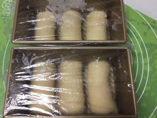 奶酪双吐司,分别放入两个吐司盒，盖上保鲜膜。