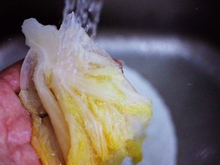 酸菜猪肉粉嫩饺子,买回来的酸菜用自来水冲洗干净。