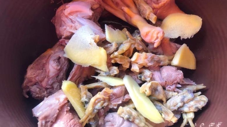 海参番鸭汤,番鸭肉焯好以后用冷水冲凉，用夹子清理掉鸭肉上的细毛，清洗干净放入锅里，再放入姜片和蛏干。