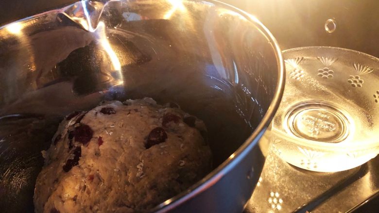 蔓越莓全麦面包,7.进行发酵，尽量放在温暖的地方，我的方法就是放在烤箱里面，旁边放一碗开水，原理就是让面团呆在温暖湿润的环境里，让酵母菌发酵起来