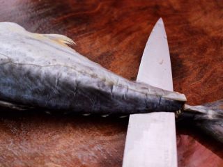 鲜美无比的鲅鱼饺子,用刀从鲅鱼的尾部开始片鱼片。