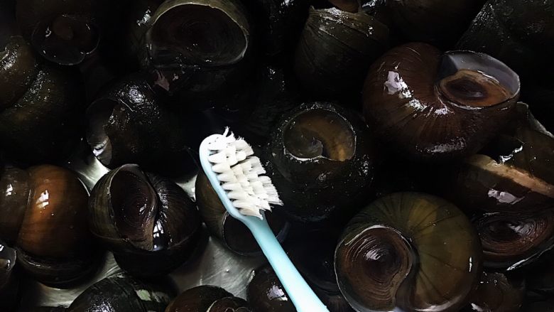 五花肉香焖田螺,用牙刷将每一个田螺刷干净