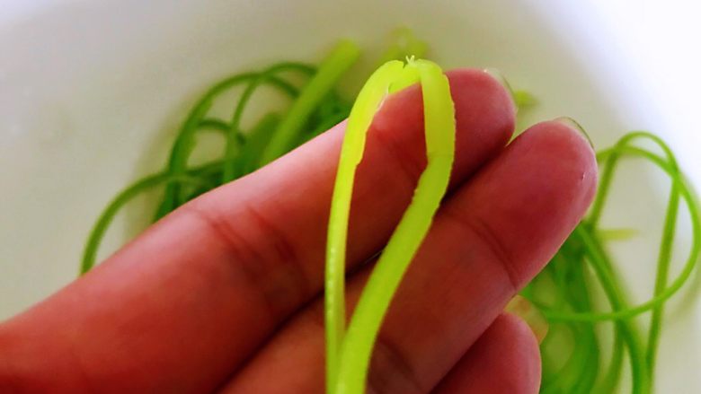 凉拌蒜苔,从蒜苔的中间开始撕，用手轻轻一拉就开了，焯水后的蒜苔有韧性，非常容易撕，撕成细丝。