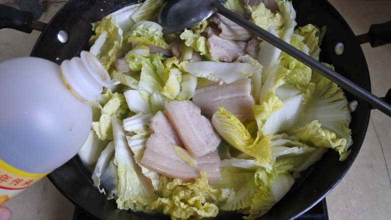 东北炖菜：白菜猪肉炖粉条,加热水，放入白菜煮软塌。加酱油、盐、鸡精调色调味