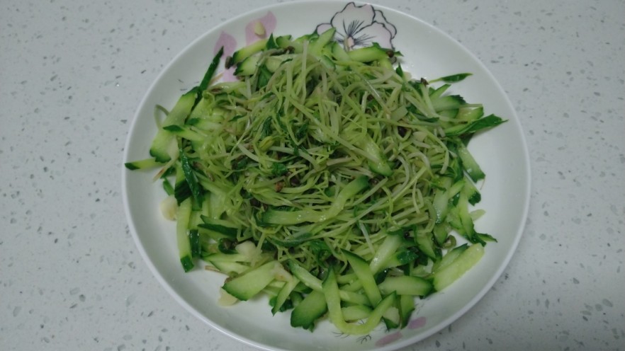 清炒水培芽苗菜、黄瓜丝