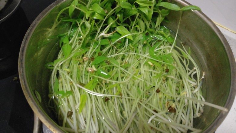 清炒水培芽苗菜、黄瓜丝,锅中放入适量水，水开后放入芽苗菜，焯水30秒。