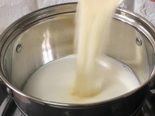 芒果牛奶布丁,吉利丁粉10g