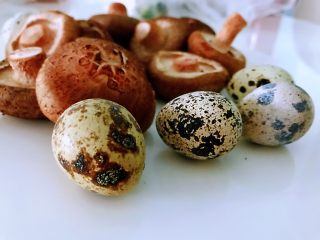 香菇鹌鹑灯盏,准备好食材，新鲜香菇10个，鹌鹑蛋10个。买香菇时选底部平整，大小一样的，最后做出来的成品更美观。
