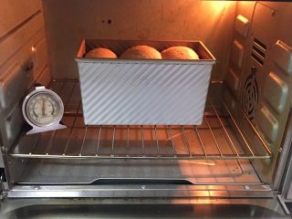 全麦吐司+奶酪花生味,烤箱预热至190度，吐司盒送入烤箱烤制35分钟，如果上色满意加盖锡纸。