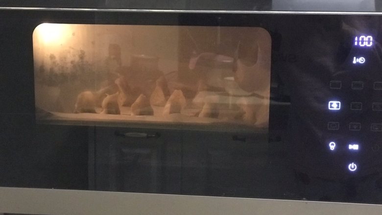 四鲜饺子,蒸烤箱选择纯蒸模式，100度15分钟左右。