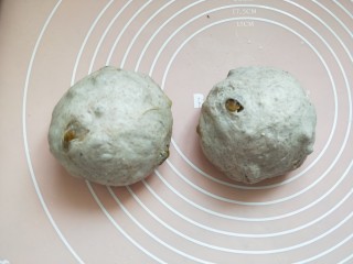 全麦葡萄干核桃面包,将面团取出排气，平圴分成2份，滚圆盖保鲜膜松弛15分钟