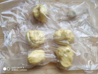 土豆造型豆沙包(馒头),将揉好的南瓜面团分割成50克一个的面团，用保鲜膜盖好。