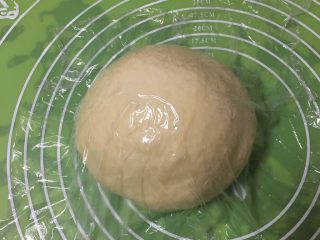 红枣吐司面包,整理滚圆，盖上保鲜膜静置20分钟。