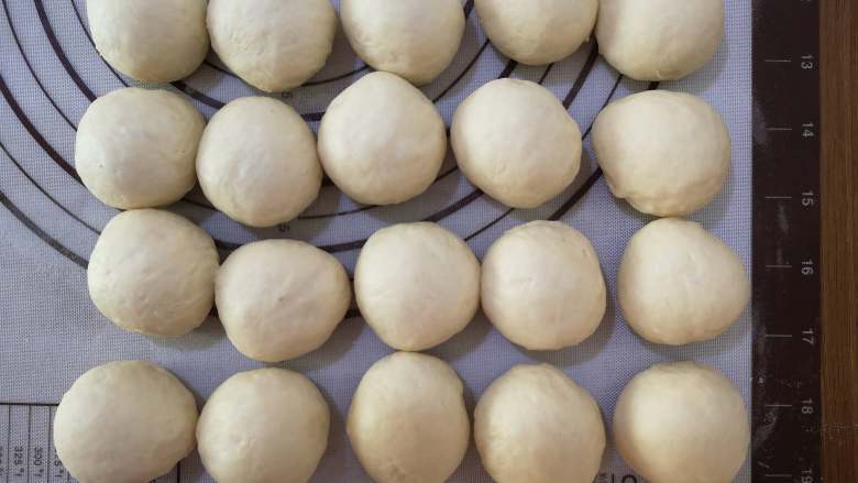 葡萄干小面包,将大面团分成20个小面团揉圆后，静置10分钟。