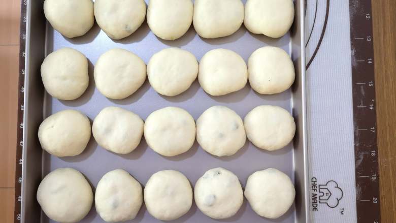葡萄干小面包,做好的面包坯排列在烤盘中，放烤箱用发酵档发酵，下面放一碗热水增加湿度。