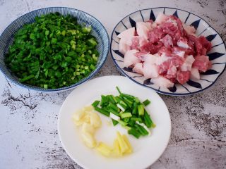 猪肉韭菜锅贴,猪肉洗净去皮切成小块，韭菜去掉老梗洗净切末，葱切葱花，蒜拍碎，姜切片