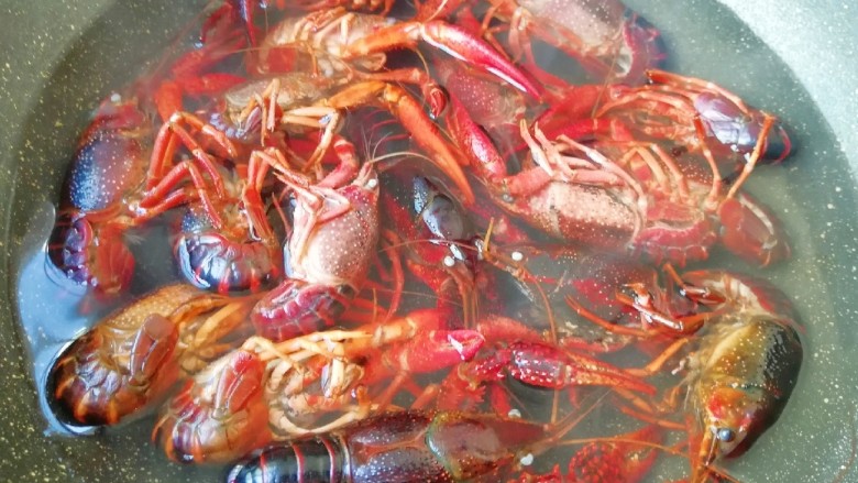 青花椒辣卤小龙虾,水不用烧开，随着水温慢慢升高，小龙虾变色以后即可关火。
