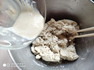 糙米窝头(原味&枣香),把酵母倒入凉透的糙米粉团中，用筷子搅匀。注意一定是凉透的，要是没凉透，温度也不能超过35°，不然酵母就白加了。