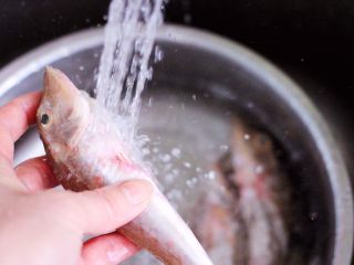 酱焖红蟹鱼青菜,把清除干净的红蟹鱼用自来水彻底冲洗干净，特别是鱼的内脏里面一定要洗干净。